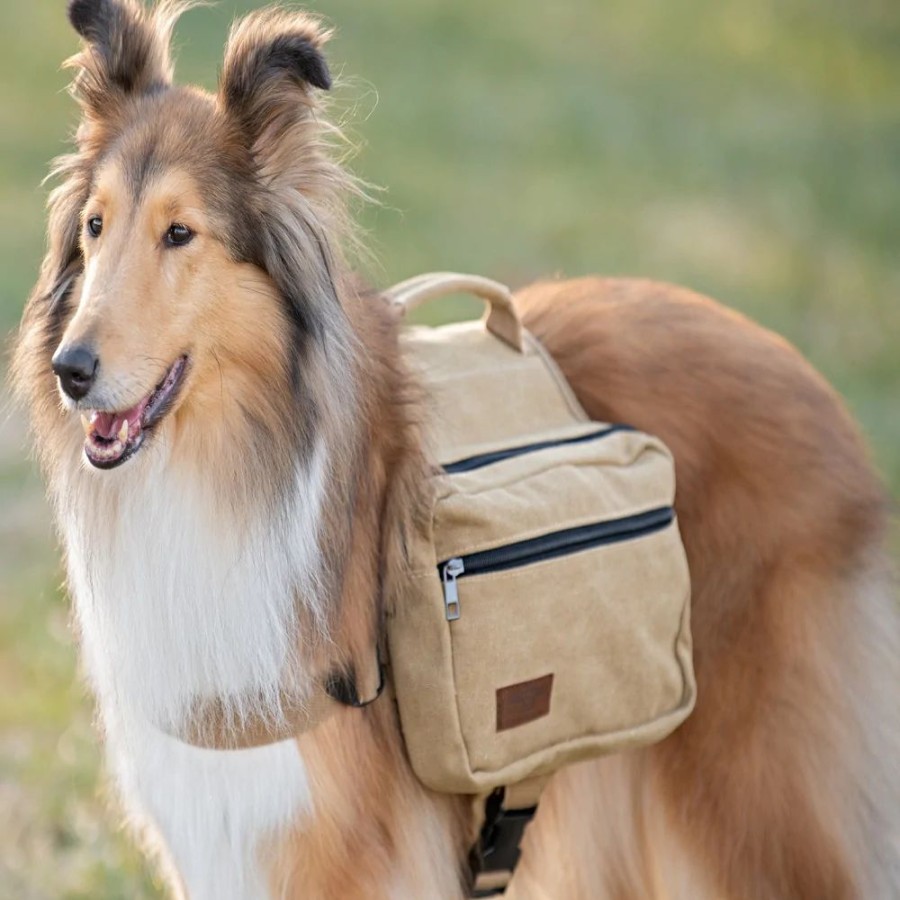 Harnesses BoxDog | Canvas Saddlebag For Dogs By Boxdog