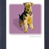 Special Occasion & Holiday Paper Russells | Airdale Terrier Sitting - Grrreen Boxed Note Cards