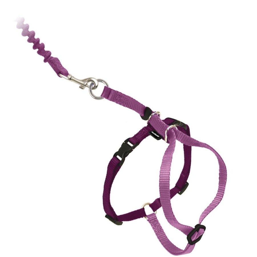 For Cats & Other Critters PetSafe® | Come With Me Kitty Cat Harness & Bungee Leash