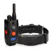 Training Dogtra | Arc Remote Training System