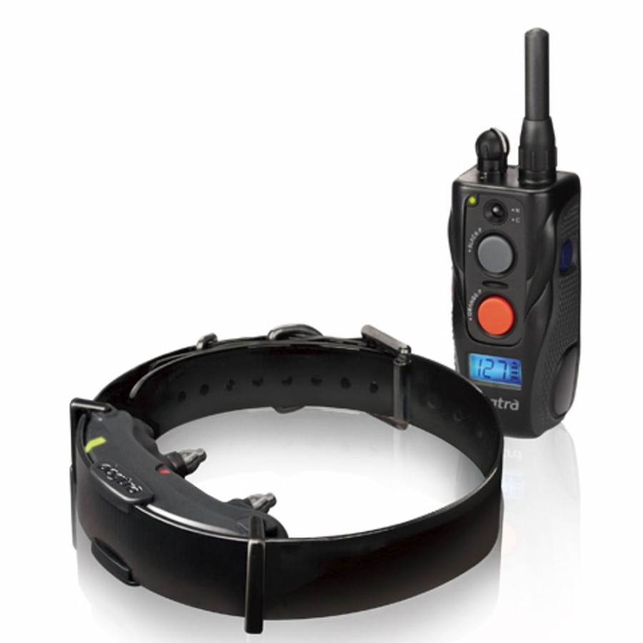 Training Dogtra | Arc Remote Training System