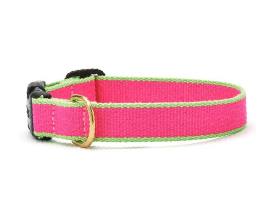 Collars, Leads & Accessories Up Country™ | Bright Pink And Lime - Color Market Collection Collars & Leads