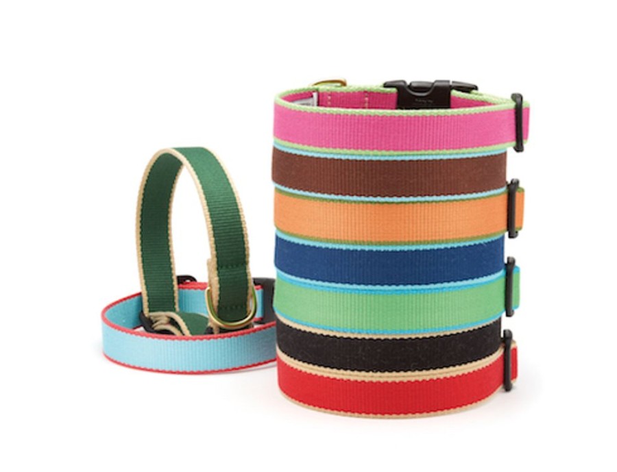 Collars, Leads & Accessories Up Country™ | Bright Pink And Lime - Color Market Collection Collars & Leads