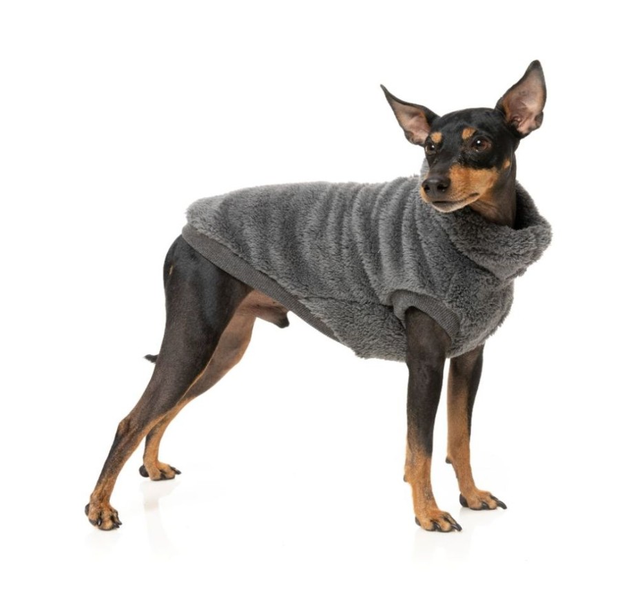 Pet Apparel (Continued) FuzzYard | Turtle Teddy Sweater - Charcoal