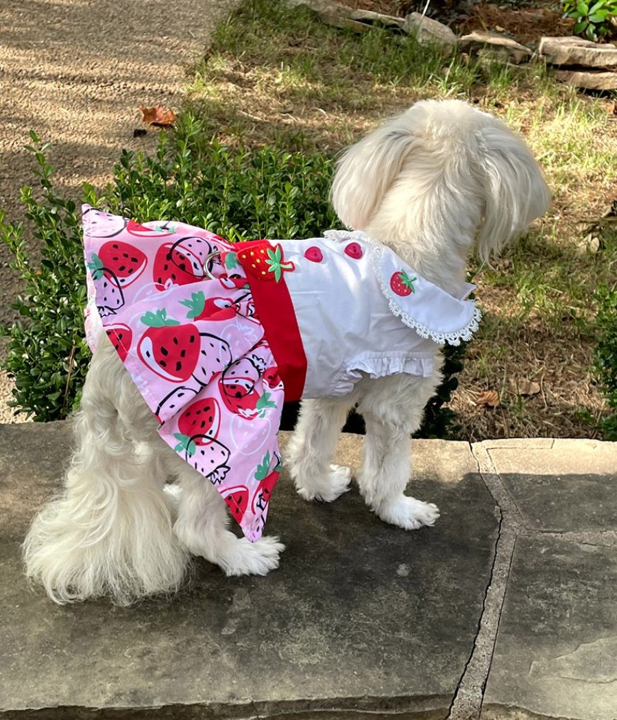 Pet Apparel (Continued) Doggie Design, Inc. | Strawberry Picnic Dress With Matching Leash