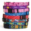 Collars, Leads & Accessories Yellow Dog Design | Trend Setters Collection