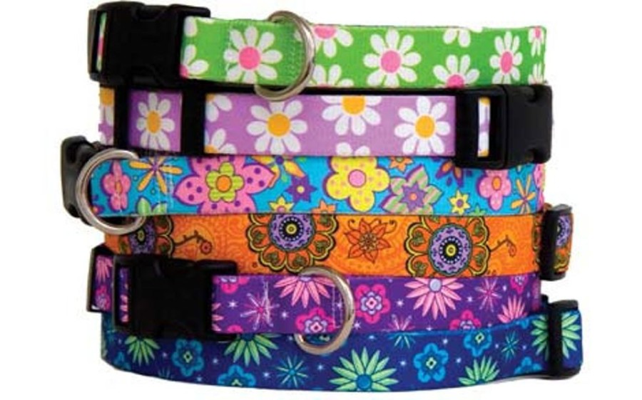 Collars, Leads & Accessories Yellow Dog Design | Hip Floral Fashions Collection