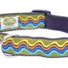 Collars, Leads & Accessories earthdog | Reilley-2 Collection