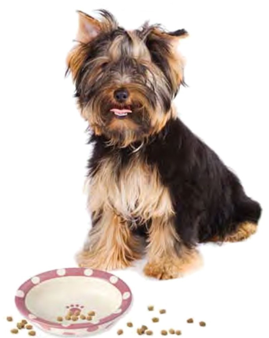 Bowls & Feeding Supplies PetRageous Designs! | Pink Polka Paws Bowls