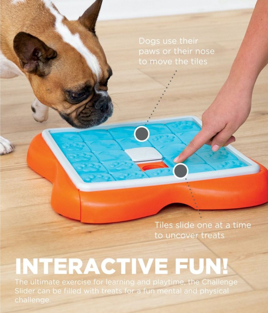 Toys & Playthings Nina Ottosson™ | Nina Ottosson Challenge Slider Interactive Treat Dog Puzzle Toy Blue/Orange Level 3