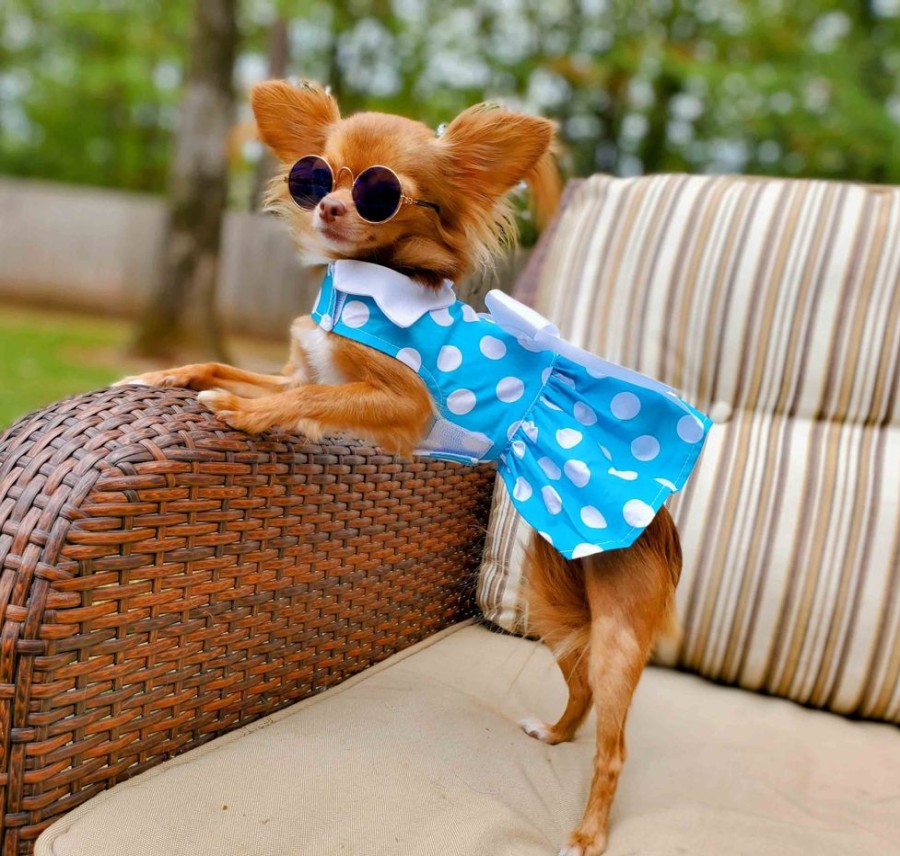 Pet Apparel (Continued) Doggie Design, Inc. | Blue Polka Dot Dress W/ Leash & D-Ring