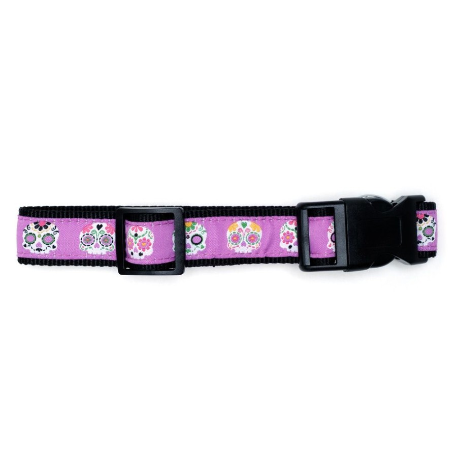 Special Occasion & Holiday The Worthy Dog | Skeletons Collar & Lead Collection