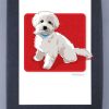 Special Occasion & Holiday Paper Russells | Maltipoo - Grrreen Boxed Note Cards