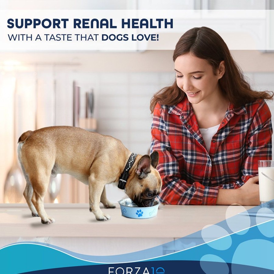 Pet Food Forza10 | Actiwet Renal Support, Lamb And Salmon Recipe Dog Food, Case Of 32 - 3.5 Oz. Containers