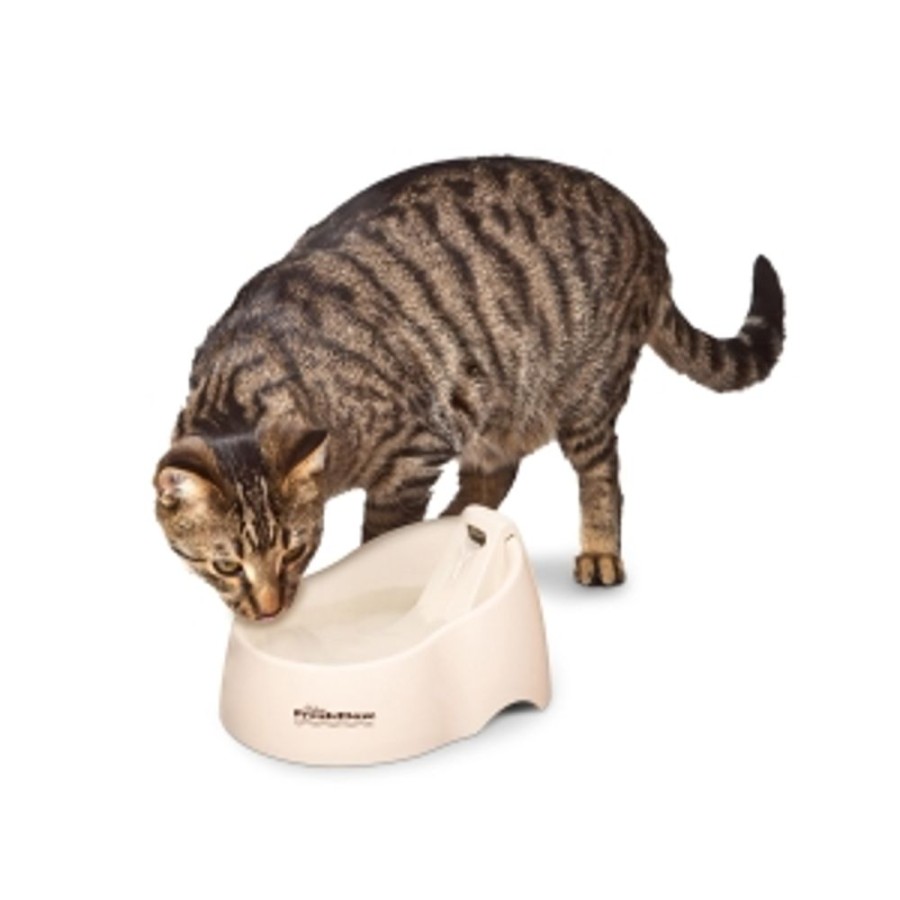 Bowls & Feeding Supplies Petmate® | Petmate® Deluxe Fresh Flow® Pet Fountain For Cats