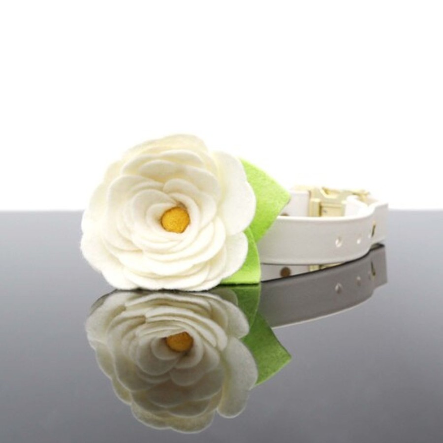 Collars, Leads & Accessories Mimi Green | Cream Magnolia Dog Collar Flower