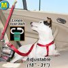 Health & Safety CETACEA® Pet Products | Seatbelt Tether