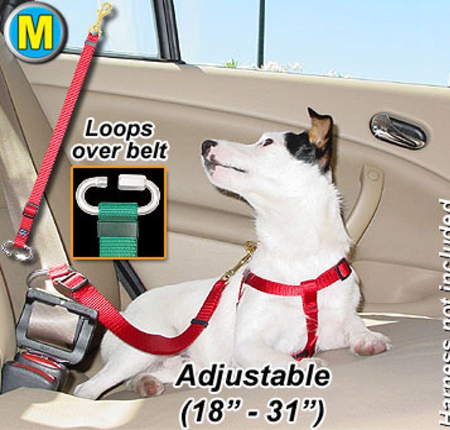 Health & Safety CETACEA® Pet Products | Seatbelt Tether