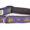 Collars, Leads & Accessories earthdog | Jewel Collection