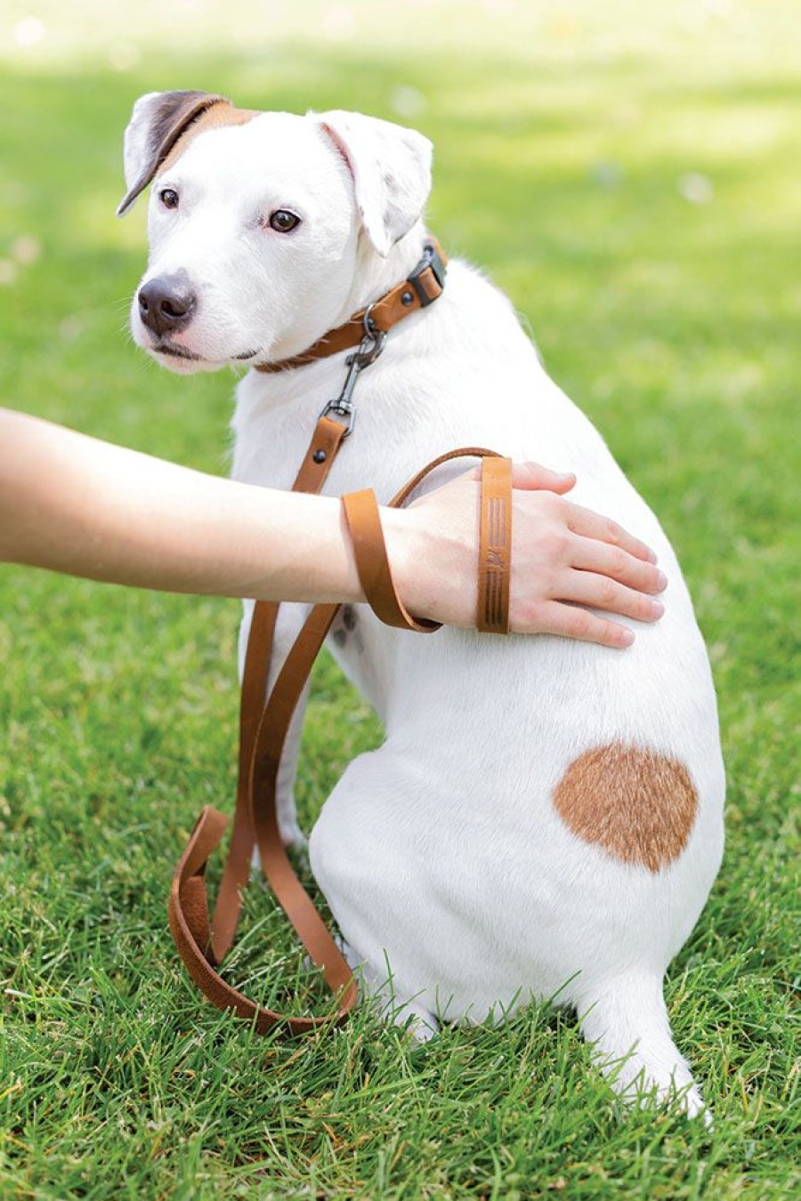 Collars, Leads & Accessories Euro Dog Collars and Leads | Bark Brown Sport Leather Leash