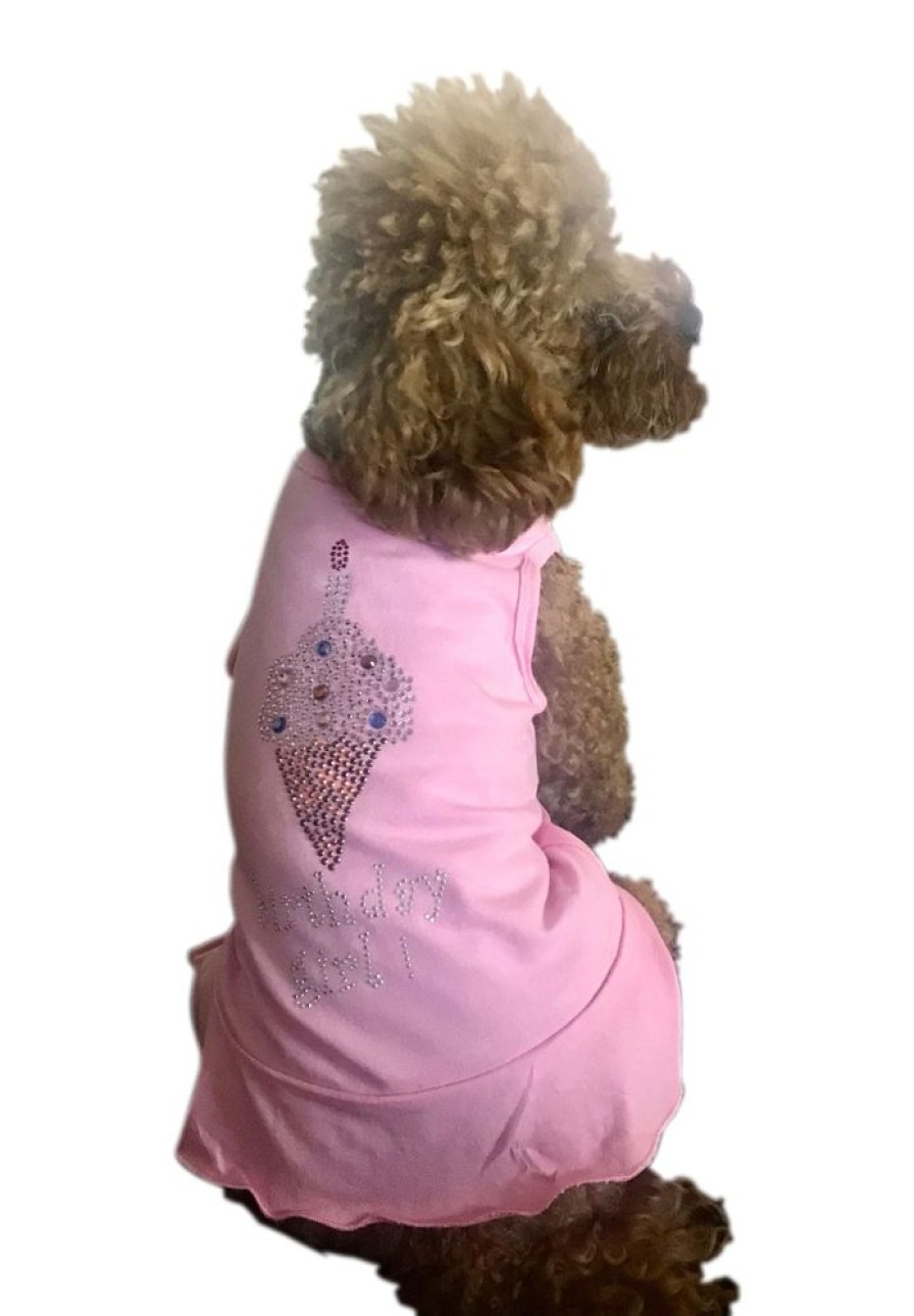 Pet Apparel (Continued) Dog Squad | Birthday Girl Ice Cream Dress