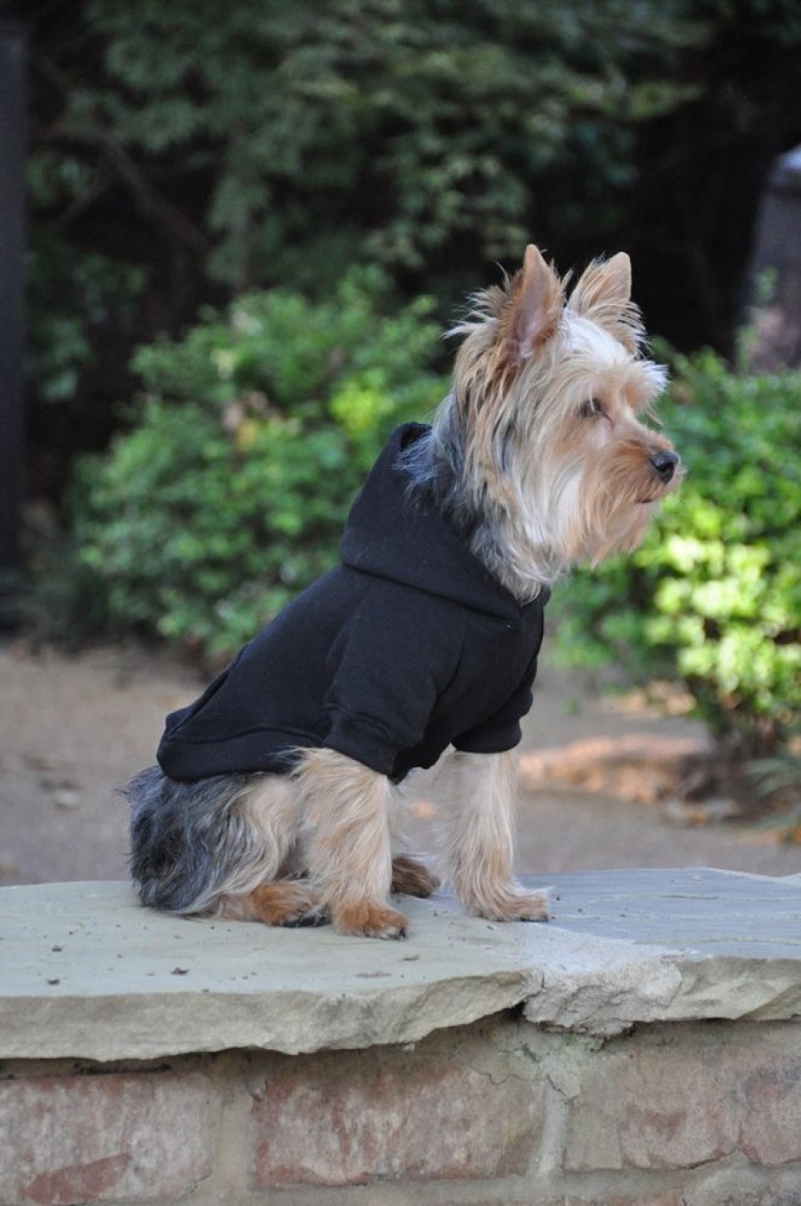 Pet Apparel Doggie Design, Inc. | Flex-Fit Dog Hoodie - Black