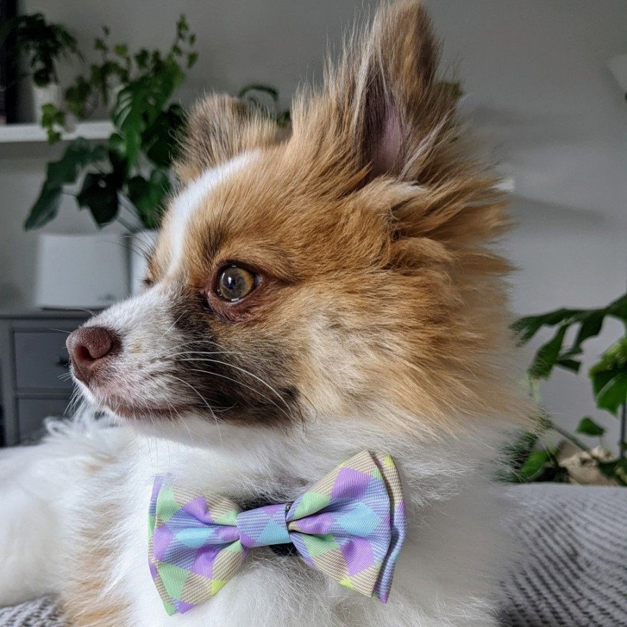 Collars, Leads & Accessories Huxley & Kent® | Lavender Lemon Check Bow Tie