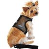 Harnesses Doggie Design, Inc. | Cool Mesh Dog Harness - Solid Black