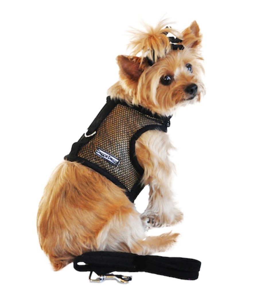 Harnesses Doggie Design, Inc. | Cool Mesh Dog Harness - Solid Black