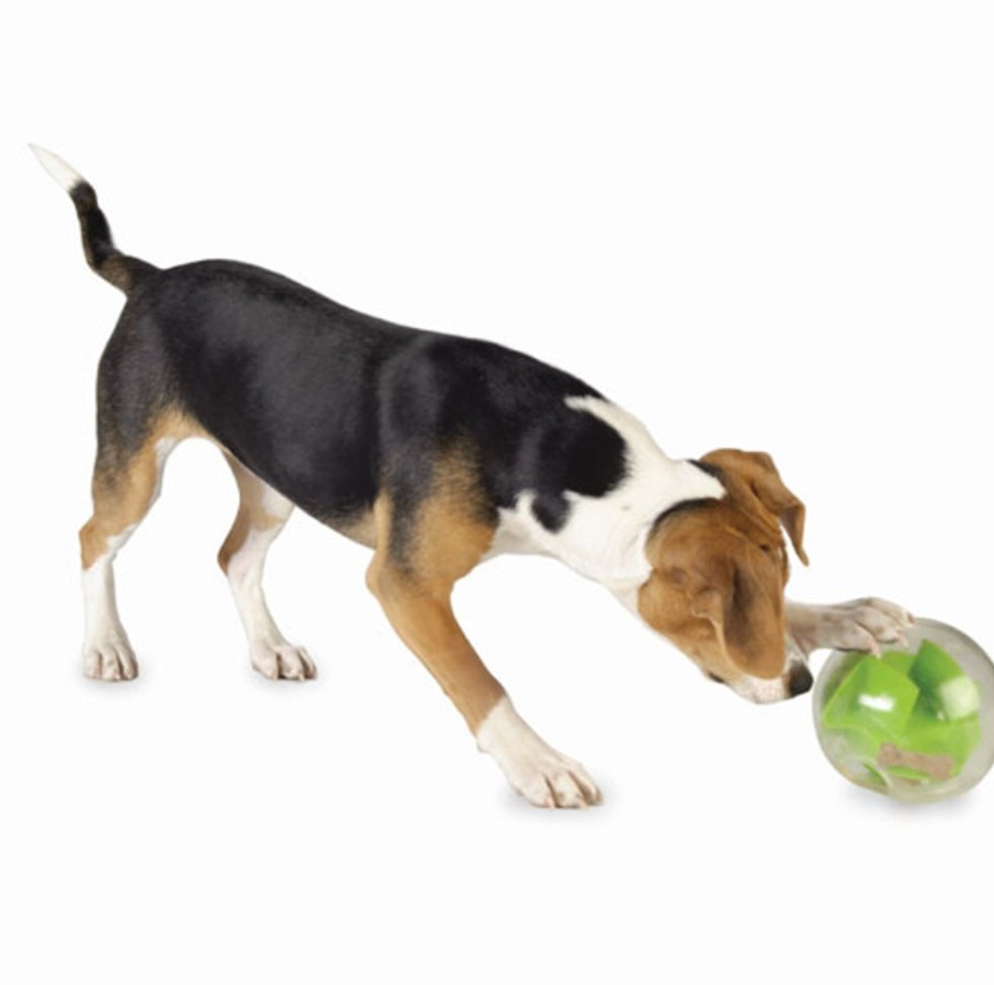 Toys & Playthings Planet Dog | Orbee-Tuff® Mazee