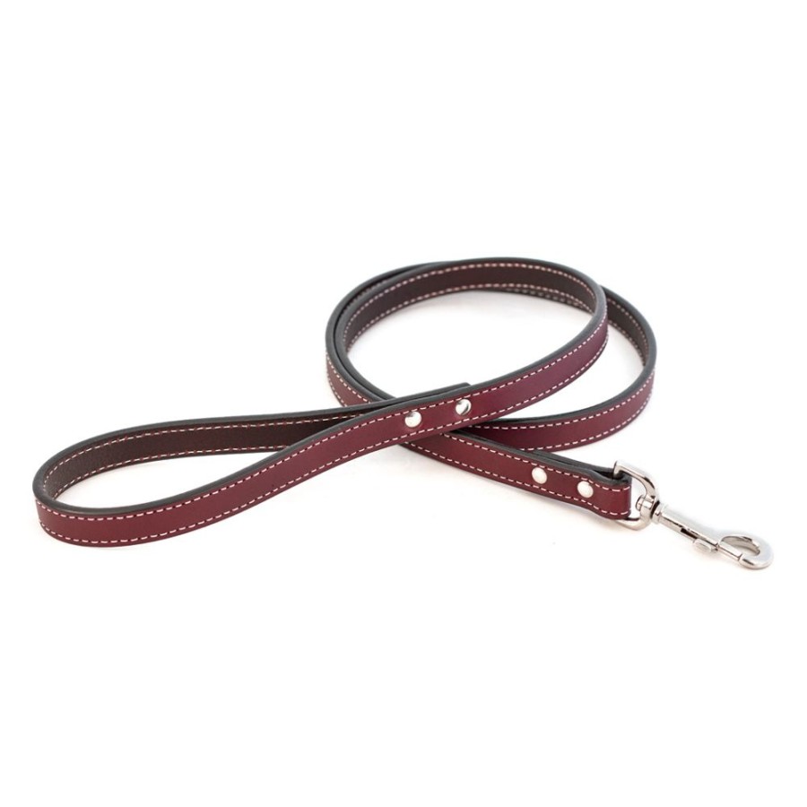 Collars, Leads & Accessories Auburn Leathercrafters | Dover Court Leads