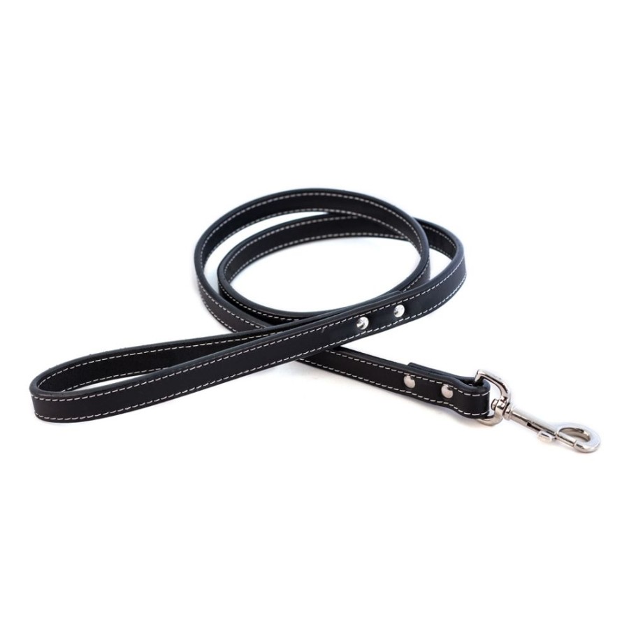 Collars, Leads & Accessories Auburn Leathercrafters | Dover Court Leads