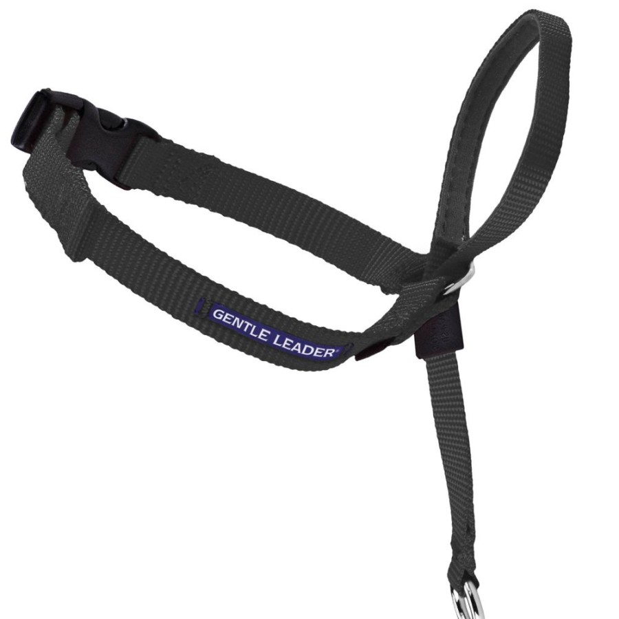 Training PetSafe® | Gentle Leader® Headcollar, No-Pull Dog Collar - In Clamshell