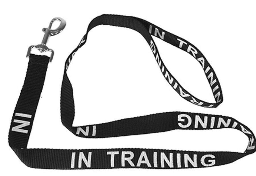 Collars, Leads & Accessories Dogline | Dogline Reflective Black Nylon Leash