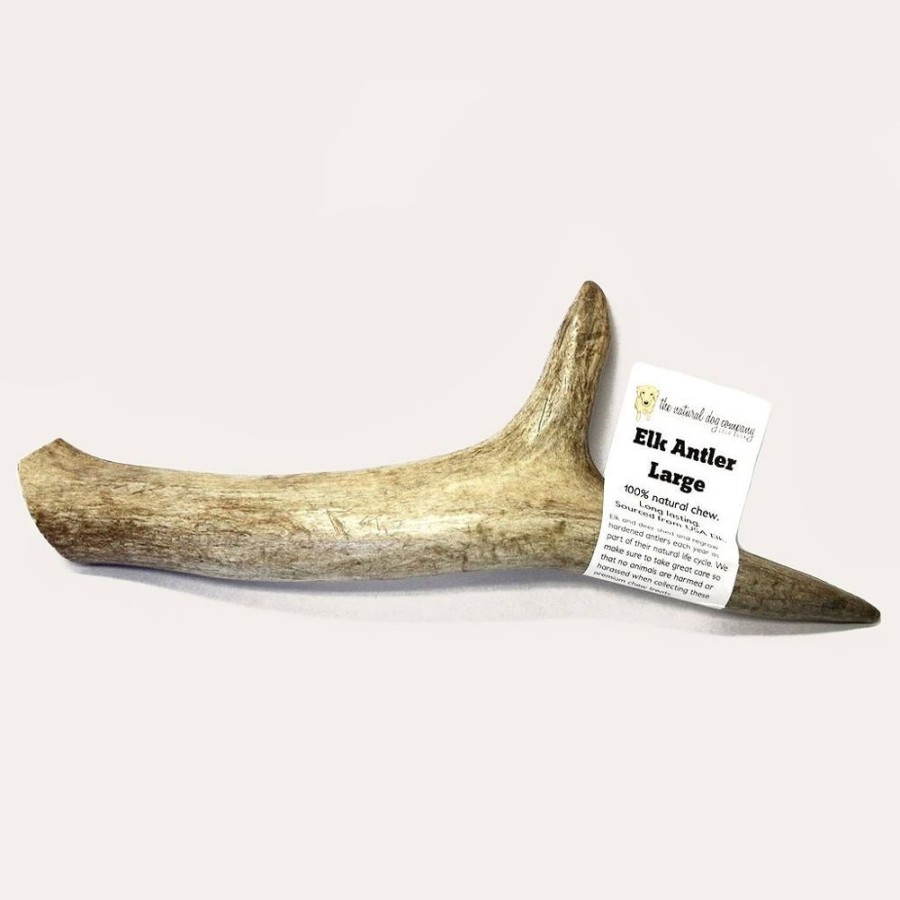 Treats Tuesday's Natural Dog Company | Usa Elk Antler - Whole Large