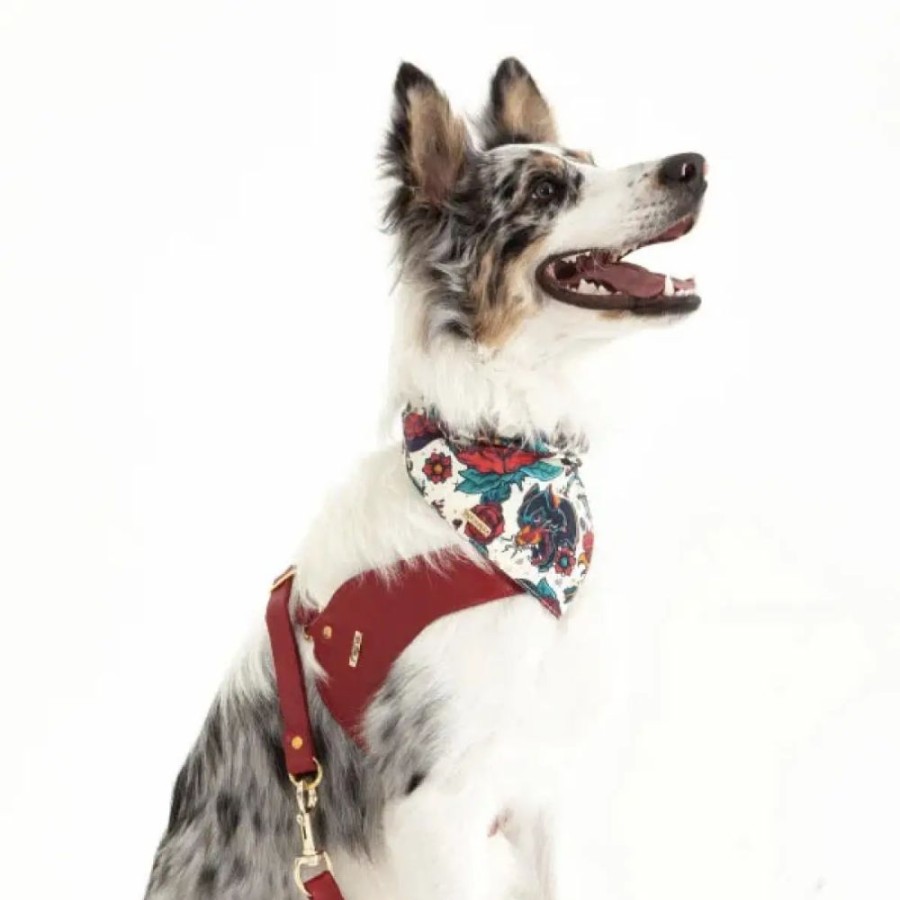 Harnesses Feroz - Urban Pet Fashion | Red Dog Leather Harness