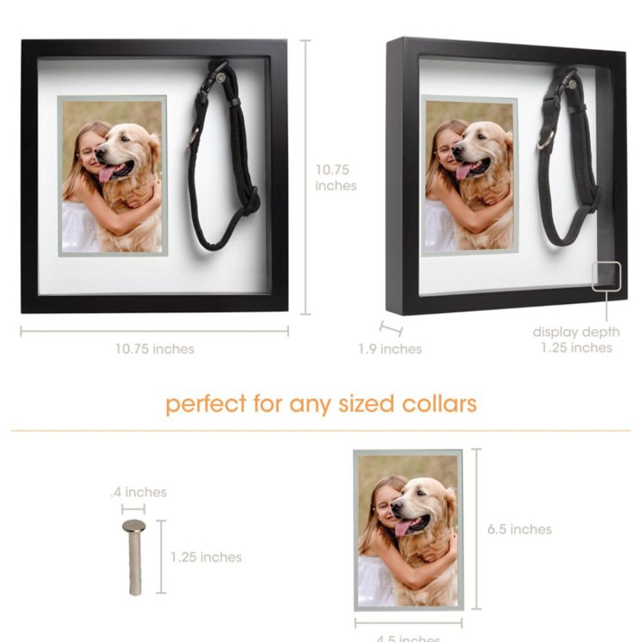 For The Home Pearhead™ | Pearhead Pet Collar Keepsake Frame