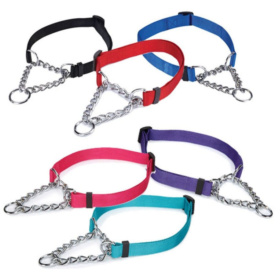 Collars, Leads & Accessories Guardian Gear® | Guardian Gear Martingale Collars