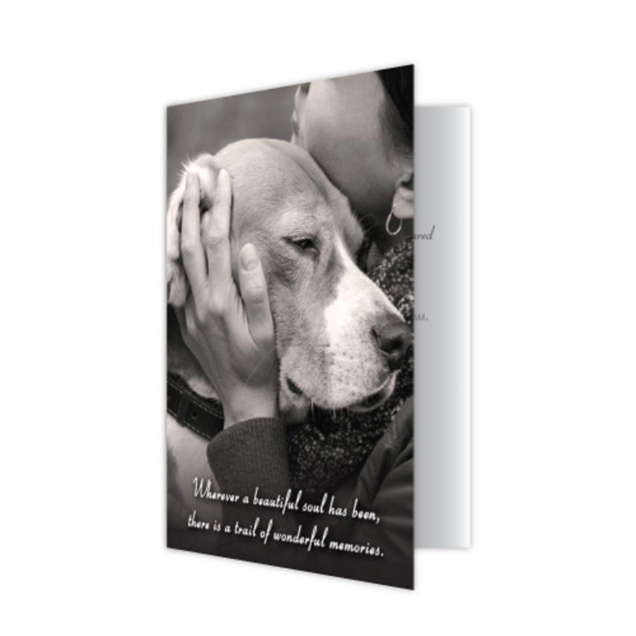 Special Occasion & Holiday dog speak | Sympathy- Wherever A Beautiful Soul Has Been....(6 Pack)