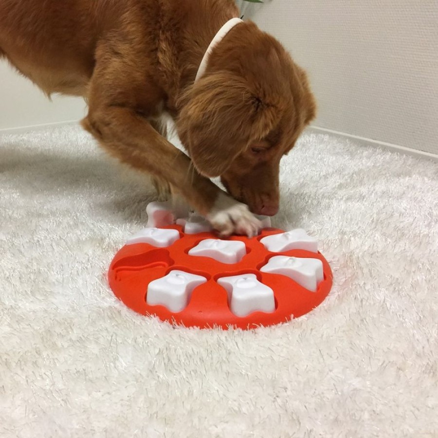 Toys & Playthings Nina Ottosson™ | Nina Ottosson Dog Smart Interactive Treat Dog Puzzle Toy Orange Level 1