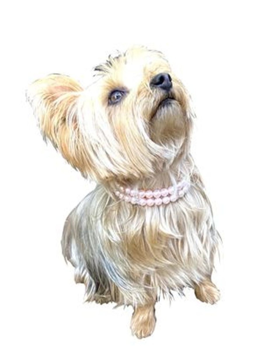 Collars, Leads & Accessories Dog Squad | 2 Row Pretty Pearl Choker Necklace, Pink