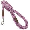 Collars, Leads & Accessories Mendota Pet | Mendota Long Snap Leash - 15 Feet