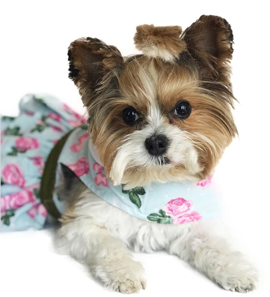 Pet Apparel (Continued) Doggie Design, Inc. | Pink Rose Dress With D-Ring And Matching Leash