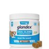 Health & Safety Glandex | Glandex Anal Gland Soft Chew Peanut Butter 60Ct