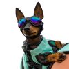 Pet Apparel (Continued) K9 Sport Sack | K9 Sport Shades - Dog Goggles