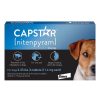 Grooming & Shampoos Elanco Animal Health | Capstar Tablets For Dogs 2-25 Lbs - Blue (6 Tablets)