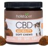 Treats HolistaPet | Holistapet Cbd Dog Soft Chews Mobility Formula 5Mg And 10Mg Per Treat - Pumpkin