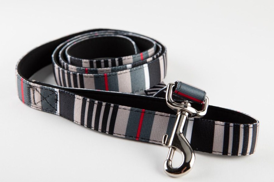 Collars, Leads & Accessories Hip Doggie Inc. | Designer Stripes Adjustable Collar