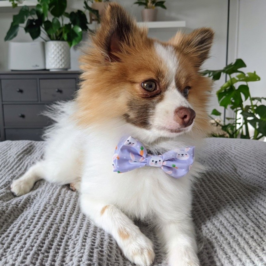 Collars, Leads & Accessories Huxley & Kent® | Funny Bunny Bow Tie