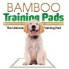 Stain, Odor & Clean-Up Products Green Pet Shop | Bamboo Training Pads